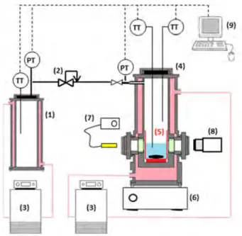 Figure  SI1.  Scheme  of  the  experimental  rig.  (1)  gas  storage  vessel  ;  (2)  pressure  reducing  valve; (3) thermostatic bath; (4) reactor; (5) glass vessel; (6) magnetic agitator; (7) optic fiber;  (8) camera, (9) acquisition system