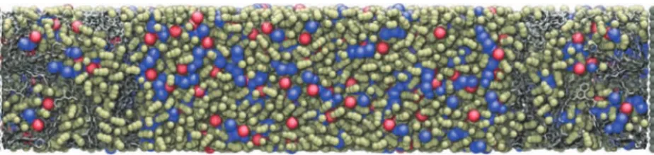 Figure 3. Electrolyte composition inside the electrodes. Light green, uncharged CDC electrodes; orange/blue, electrodes held at a constant potential diﬀerence of 1 V