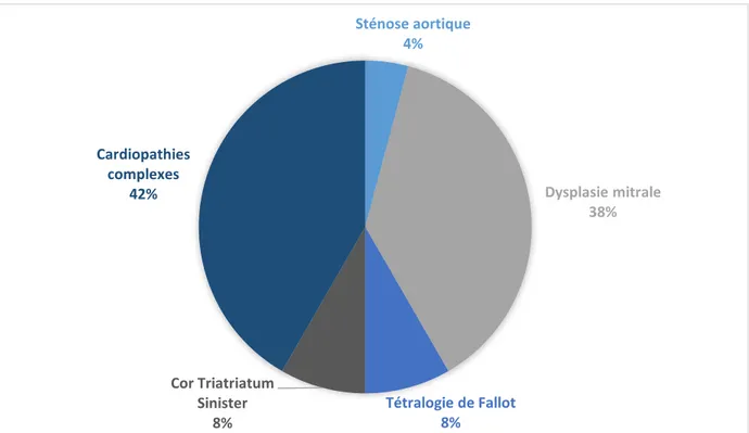 Figure 9 : Distribution des 24 cas de cardiopathie congénitale féline diagnostiqués entre 2004 et 2014, selon la  cardiopathie congénitale diagnostiquée 