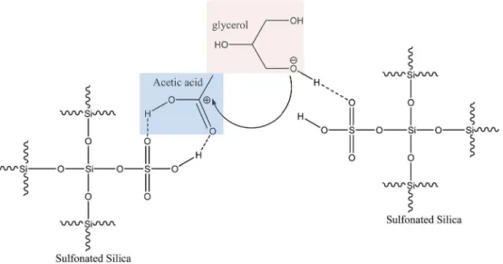 Fig. 11 Simpli ﬁed model of MCF structure.