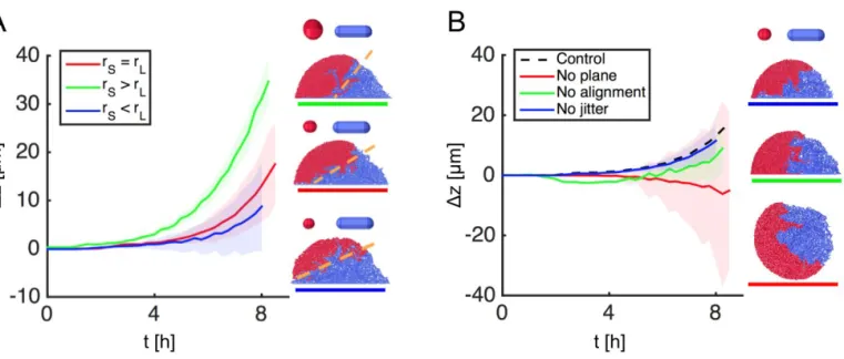 Fig. S7. Additional 2-group simulations provide further support for the layering mechanism proposed in Figure S1