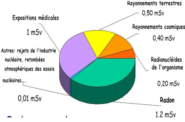 Figure 2.4 : Proportions relatives des différentes sources d’expositions aux radionucléides  Source : UNSCEAR (s.d.)  
