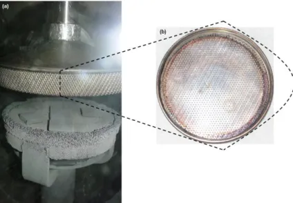 Figure 2.4: Inside the reactor chamber. (a) A photograph showing 5 substrates placed on the susceptor during  Al/Fe sequential deposition and the shower plate facing them