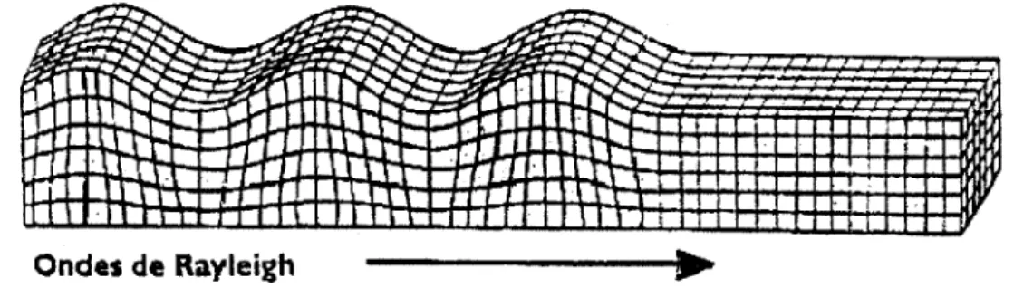 Figure 3.4 - Schema explicatif des ondes de Rayleigh 