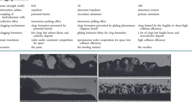Figure 6. Deposit relaxation observations. The images correspond to deposits formed with (a) 0.01 mM KCl after a constant ﬂux ﬁltration, (b) 0.01 mM KCl after a constant pressure ﬁltration, (c) 10 mM KCl after a constant ﬂux ﬁltration, and (d) 100 mM KCl a