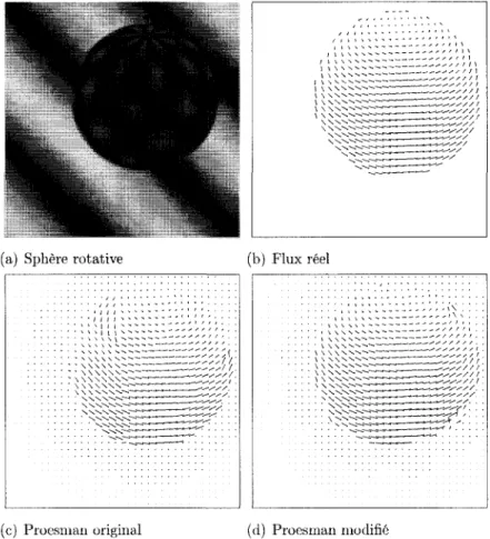 Figure 4.1 — Flux optique calcule pour la sequence de Sphere - trame 9 