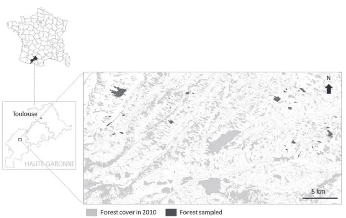 Fig. 1 Map showing the study site in southwest France, and inset showing the location of the 48 woodlands sampled