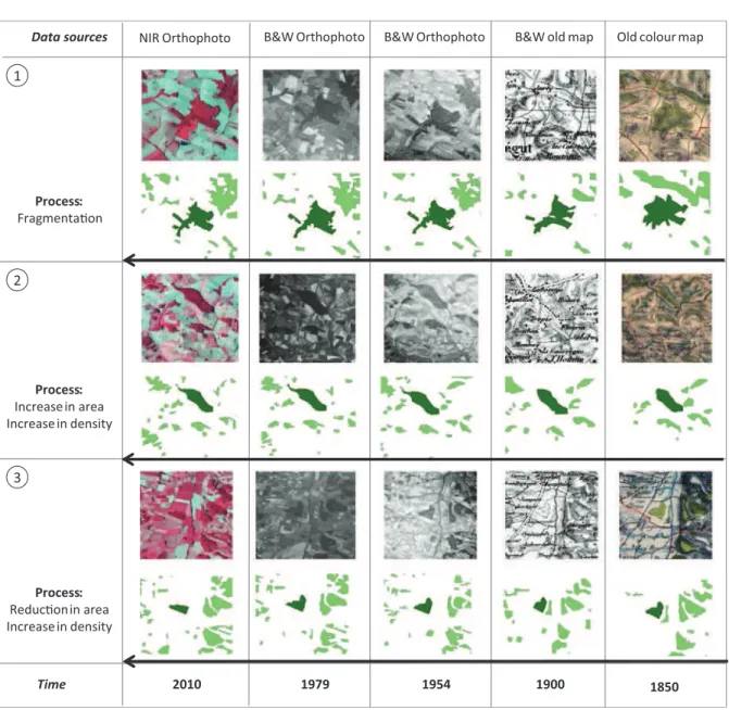 Fig. 3 Excerpts from the spatial data sources with examples of forest evolution for some of the woodlands sampled (in dark green)
