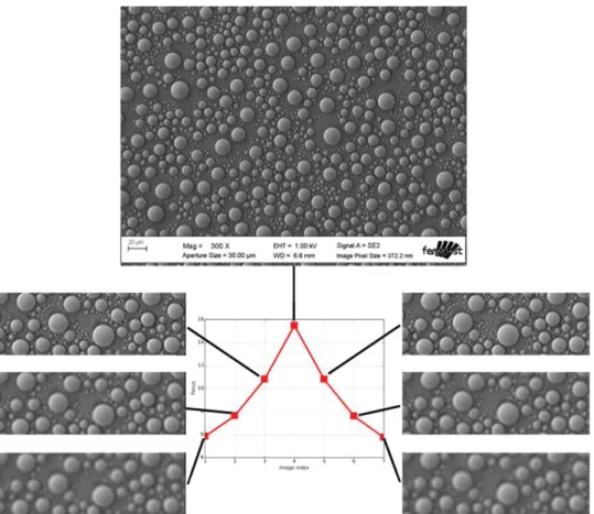 Fig. 2. Illustration of the normalized variance as focus with the tin-on-carbon specimen at x300: the image with the maximum of focus is shown completely, the others are shown partially (cropping of an region-of-interest).