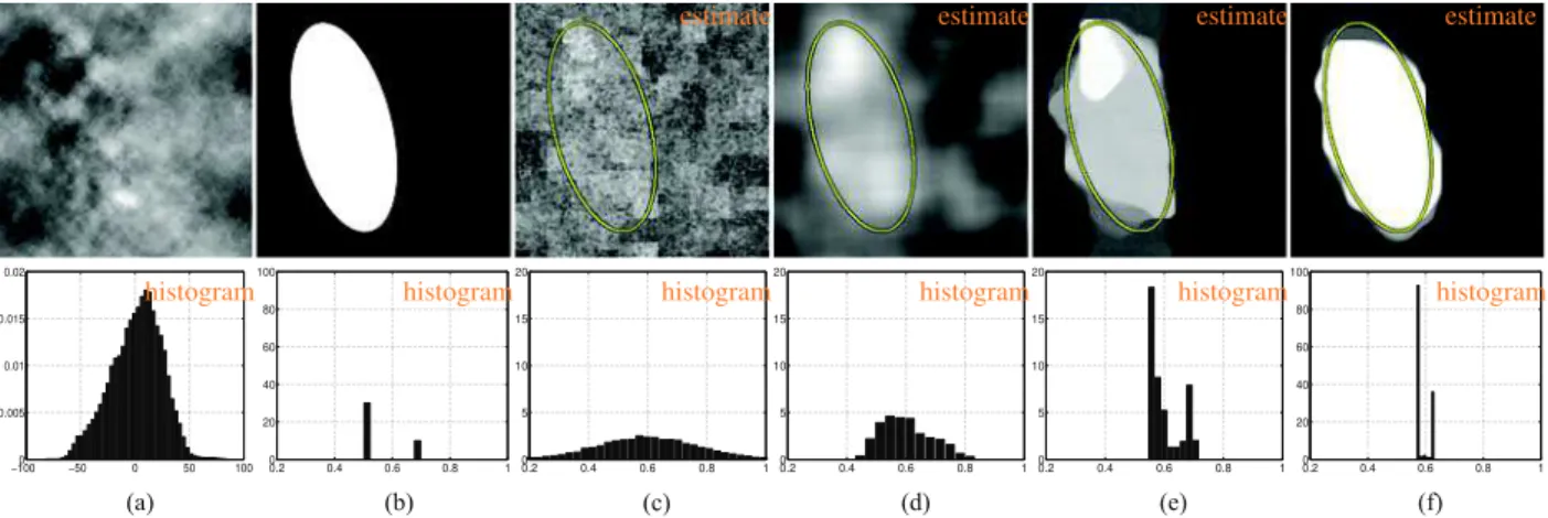Fig. 1. Illustration of the local regularity estimation from a multifractional data. Top row: (a) image f ; (b) the original local regularity h from which f is generated, the area in black (resp
