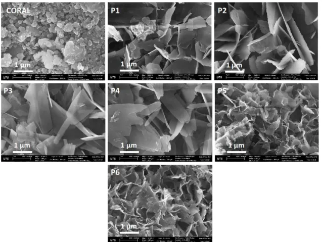 Figure 3: SEM pictures showing morphology and microstructural evolution of calcium phosphate under ortho- ortho-phosphoric acid solution, HA-P