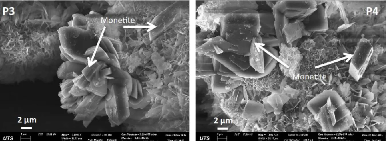 Figure 1 and 2 show the XRD patterns of the  product samples from HA-P and HA-A  respectively