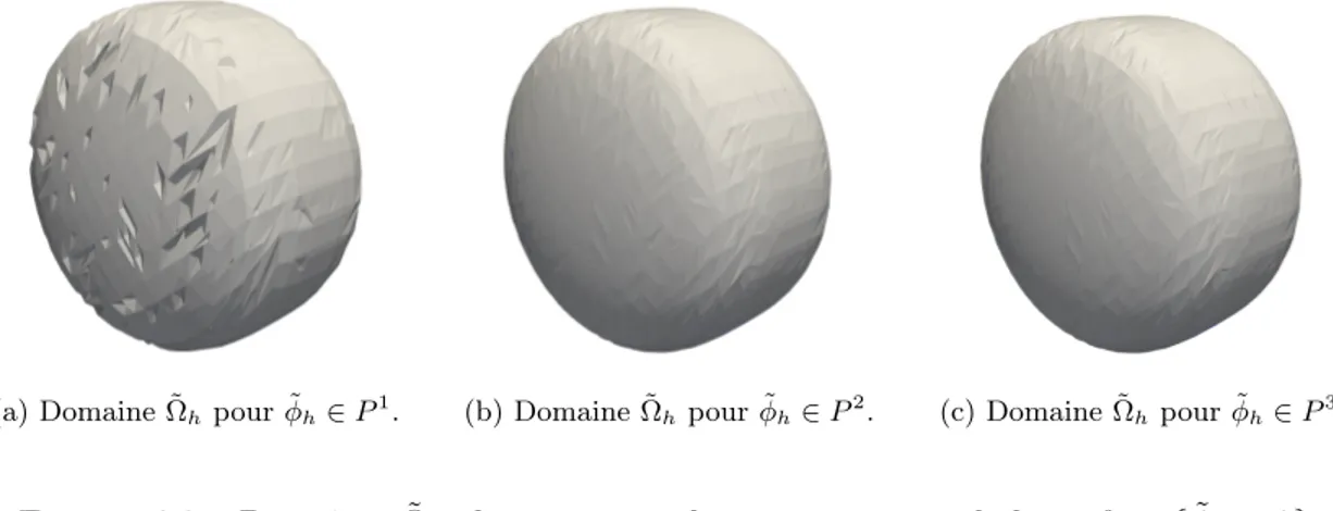 Figure 6.3 – Domaines ˜ Ω h obtenus après découpage autour de la surface { ˜ φ h = 0}