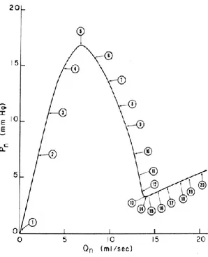 Figure 2.16 : Pertes de charge induites par un tube flexible en fonction du débit [20] 