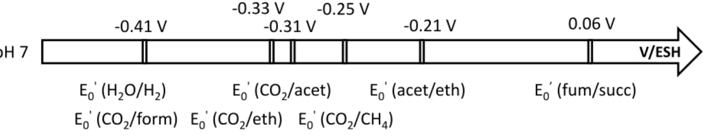 Figure 7 : Potentiels redox apparents des couples mis en jeu dans les réactions cathodiques en considérant un pH neutre  (7.0) : fum = fumarate ; succ = succinate ; acet = acétate ; eth = éthanol ; form = formiate