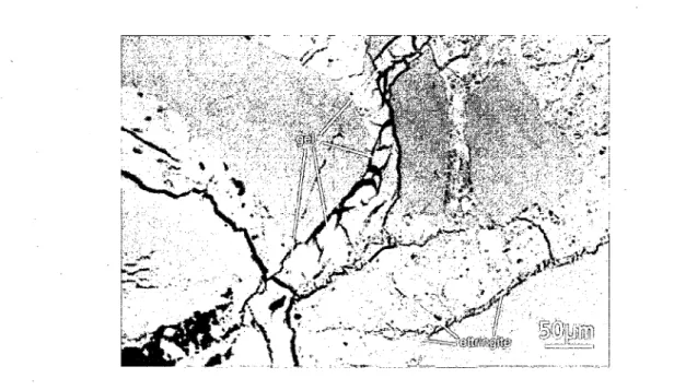 Figure 2.7 Detail of the chert particle in the previous image and adjacent cement paste, 