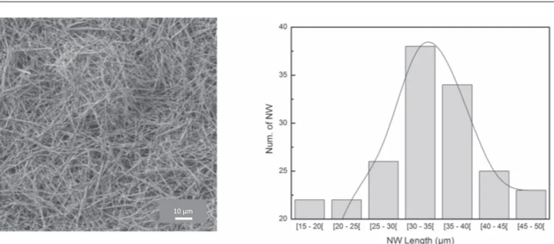 Figure 1. SEM image of Au nanowires and (right) length distribution of Au nanowires.