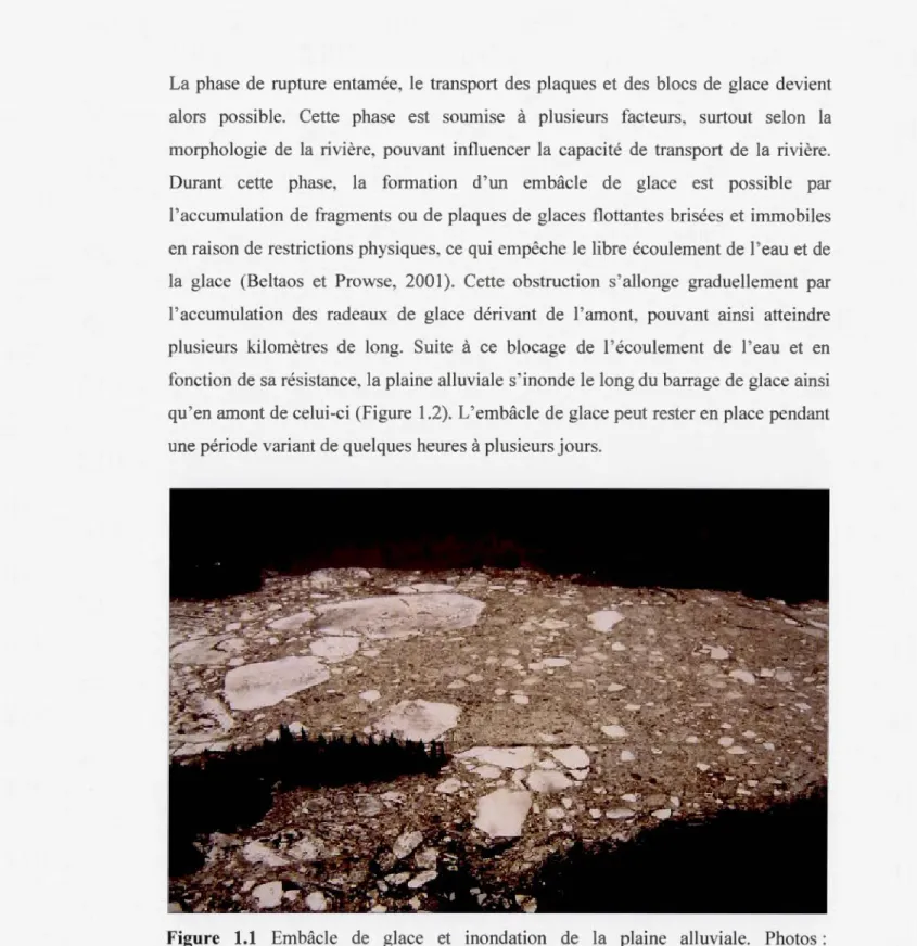 Figure  1.1  Embâcle  de  glace  et  inondation  de  la  plaine  alluvia le.  Photos : 