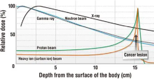 Figure  1.1  –  Relative dose  in percentage as a  function of the depth  from the surface of  the  body of the patient  in  cm  (MEDICAL  EXCELLENCE  JAPAN, 2018)