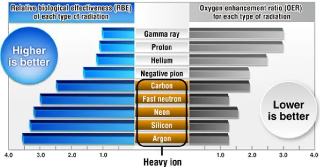 Figure  1.2  –  Relative biological effectiveness and oxygen enhancement ratio  for -rays,  protons,  negative  pions,  fast  neutrons,  helium,  carbon,  neon,  silicon  and  argon  ions  (MEDICAL  EXCELLENCE  JAPAN, 2018)