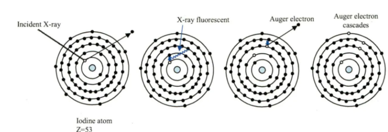 Figure 5. Diagrammatic representation of the absorption of an incident X-ray photon by an  iodine atom