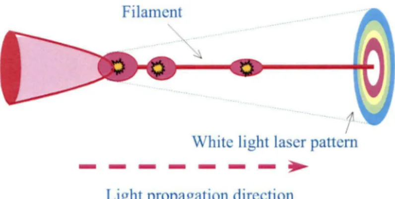 Figure 8.  A schematic diagram of the evolution of a femtosecond laser pulse propagating in  an optical medium (Adapted from Chin et al., 2005 