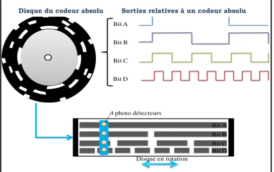 Figure 1. 8 Principe de fonctionnement d’un codeur absolu       Disque du codeur absolu       Sorties relatives à un codeur absolu 