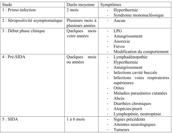 Tableau 1 : Durée moyenne et symptômes possibles lors des 5 stades de l’infection par le FIV  (D'après COURCHAMP et al