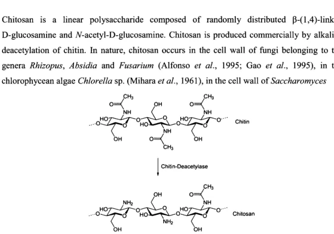 Figure 1: Chitosan synthesis from chitin. 