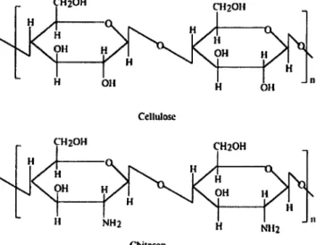 Figure 2: Molecular structure of cellulose and chitosan. 