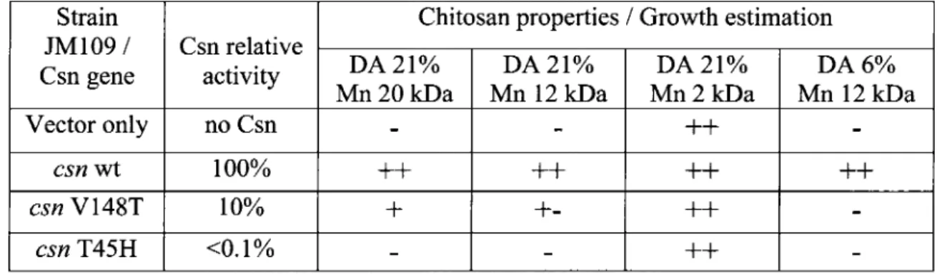 Table 1: Effect of heterologous Csn activity expression on E. coli growth on a chitosan containing  medium  Strain  JM109/  Csn gene  Vector only  csn wt  csn V148T  csn T45H  Csn relative activity no Csn 100% 10% &lt;0.1% 