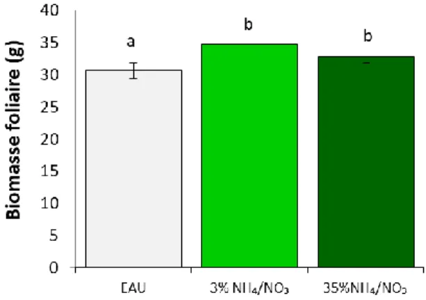 Figure 2.5. Influence d’un apport d’azote en phase d’incubation sur la biomasse foliaire fraiche totale  des plantes agroinfiltrées cultivées sous une teneur en CO 2  atmosphérique de ~400 ppm