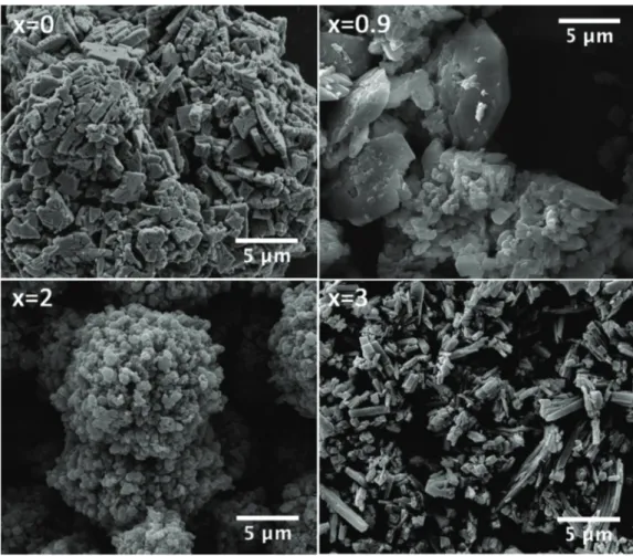 Fig. 2. SEM images of some oxalates.
