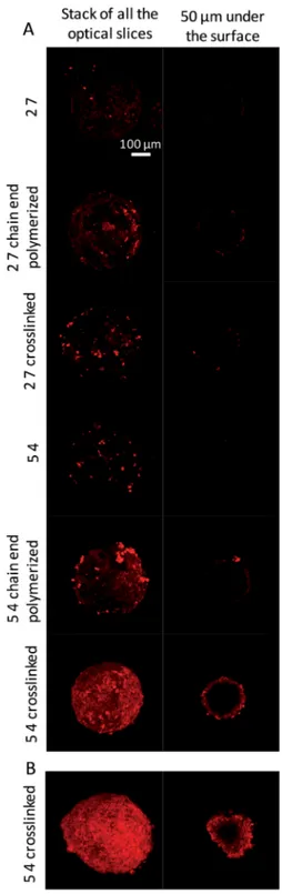 Fig. 12 Pheophorbide penetration in spheroids depending on the type of vectors. Pictures were obtained by two-photon microscopy on fresh spheroids incubated for 30 min with encapsulated Pheo