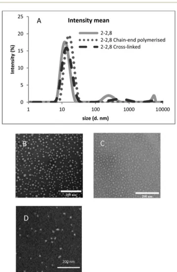 Fig. 1 Typical DLS (A) and TEM characterization of PEO-PCL 2000- 2800 self-assemblies analyses