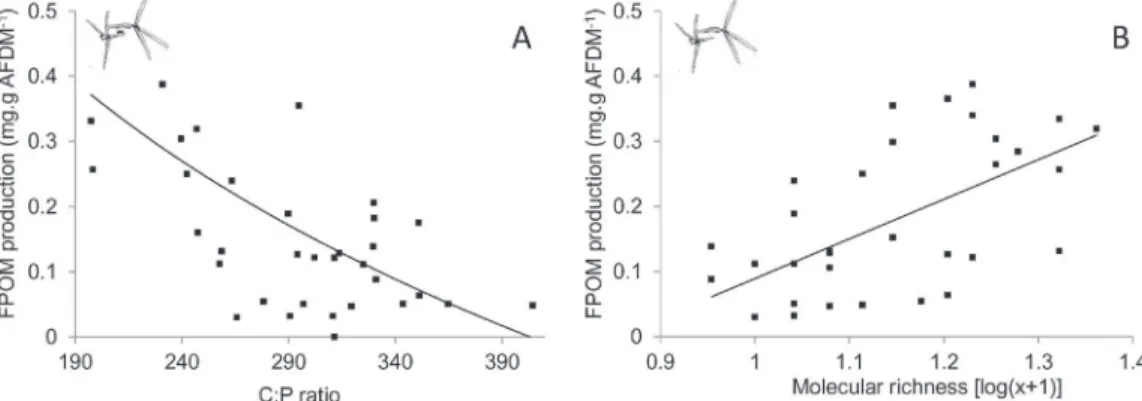 Fig. 4. Relationships between FPOM produced by fungi coming from laboratory experiments and C:P ratios of leaves (A) or molecular richness (B), according to the best predictors selected by the hierarchical partitioning and generalised linear models.