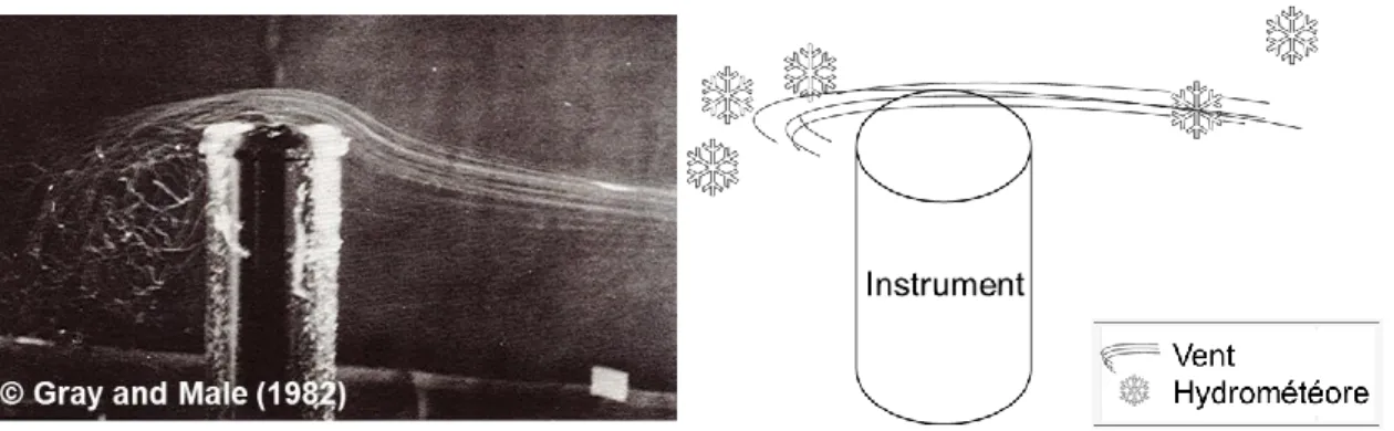 Figure I. Illustration  du phénomène de sous-captation, à gauche, photographie extraite de Gray  &amp;  Male (1982), à droite une schématisation du phénomène