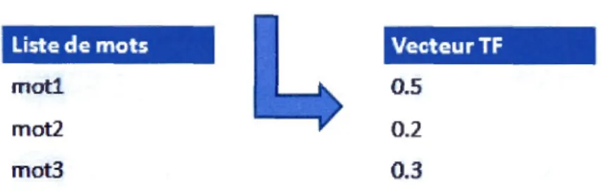 Figure 4.2  Exemple d'un vecteur TF 