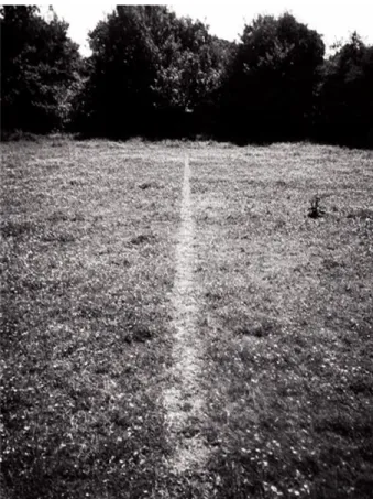 Figure 8. Richard Long, A Line Made by Walking, 1967. 