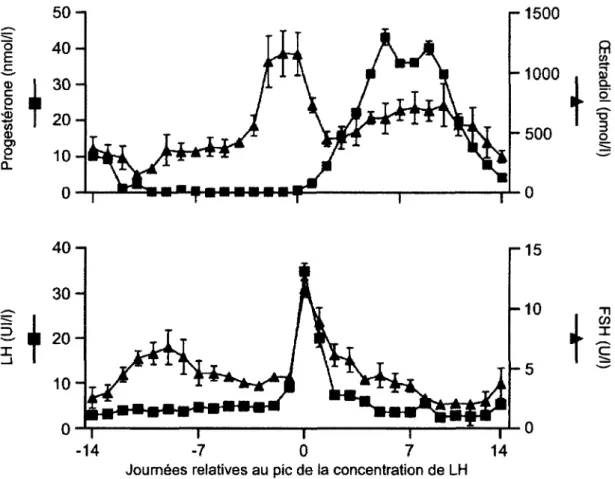 Figure 4. Fluctuations hormonales lors du cycle ovarien. 