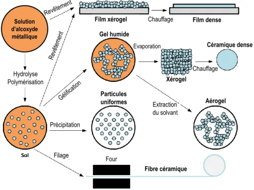 Figure I.19 : Schéma des différents produits pouvant être obtenus par sol-gel 