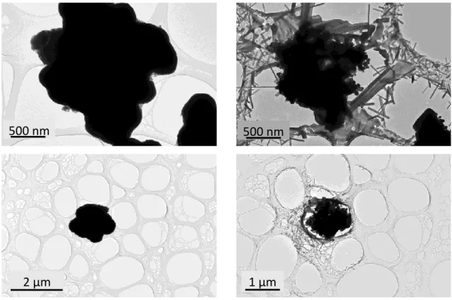 Figure II.28 : Images MET de WO 3-x -argon juste au début de l'observation (images de gauche) et après quelques  minutes d'irradiation électronique (images de droite)