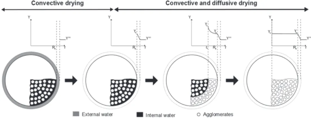 Figure 2. The two phases of particles drying. [14]