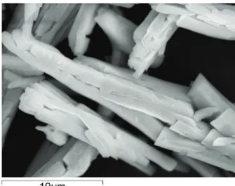 Figure 1 : Tin oxalate particles (SEM image) 