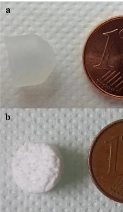 Fig. 2. Optical image of synthesised materials: PYG-00 (a), and PYG-06 (b).