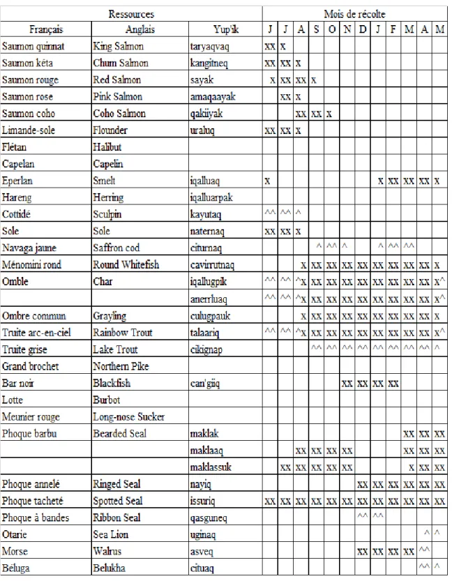 Tableau 1. Calendrier saisonnier des habitants de Quinhagak (modifié et traduit d'après Wolfe et al