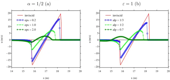 Fig. 8. Test 3: snapshots of the numerical solutions at t = 0.06 s. Nonlinear advection and fractional attenuation are considered