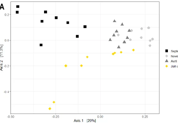 Figure  2.5 :  Graphique  de  PCoA  du  microbiote  de  chaque  colonie  basé  sur  l’indice  de  dissimilarité  de  Bray-Curtis