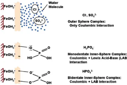 Figure 4. Orthophosphates form mono and bidentate inner-sphere complexes with the iron oxides  on the nano-enhanced adsorptive resin