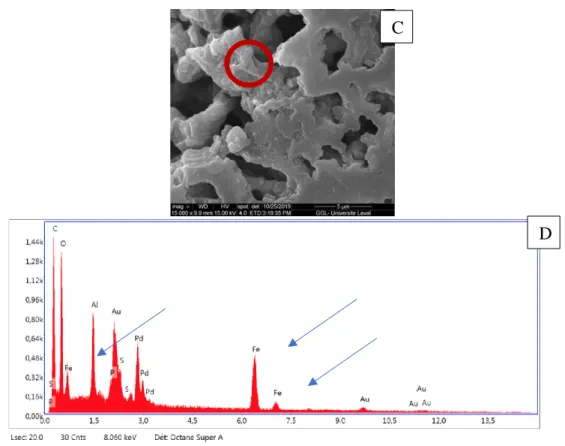 Figure 6. Scanning electron microscopy images of the FerrIX A33e nano-enhanced adsorptive  resin at A) 25x, B) 120x, and C) 15000x showing the porous surface structure and dispersed iron  oxide particles on the resin, D) Elemental analysis of the iron oxid